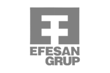 efesan_group